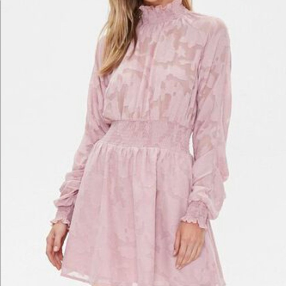 Sheer Floral Shirred Dress Rose